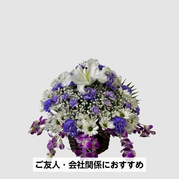 枕花B